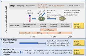 Frontiers Modern Tools For Rapid Diagnostics Of Antimicrobial Resistance Cellular And Infection Microbiology