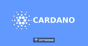 In february 2020, caramelldancen regained meme popularity with caramelldancen lights edits. What Is Cardano Everything You Need To Know About Cardano Cryptocurrency