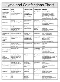 Lyme Disease Co Infections Lyme Disease Antibody