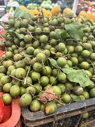 Image result for Juice Green 2001 Puma