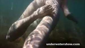 John and hannah discuss the ideal body in countries around the world. Cute Nastya Is Showing Her Beautyful Body Underwater Xhamster
