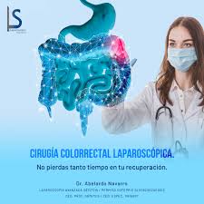 Profile for Dr. Abelardo Navarro Martínez