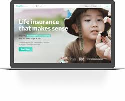 Having term life insurance from a young age is important, but it's not always finding the best provider. Solaria Labs A Liberty Mutual Endeavor