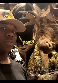 First Time Angel Fish Owner