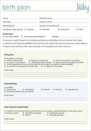 Birth Plan Template 20 Download Free Documents In Pdf Word Birth Plan Template Birth Plan Birth Plan Printable