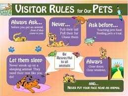 Summertime Safety With Kids And Pets Really Good Tips With A Nice Graphic Too About Kid Dog Interaction So That Animals For Kids Pet Health Care Dog Health