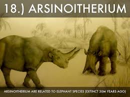 So the long neck only serves to keep its head at the optimal distance from the ground. Animals That Are Extinct By Alazahe Antonio