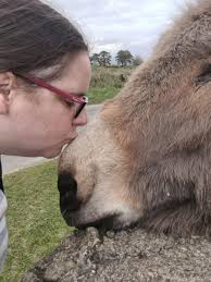 How humans thrive with a little help from their four-footed, web-footed &  feathered friends!