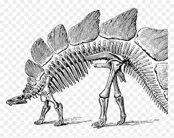 You can download the dinosaur skeleton cliparts in it's original format by loading the clipart and. Dinosaur Dinosaur Skeleton Clipart Png Transparent Png Vhv