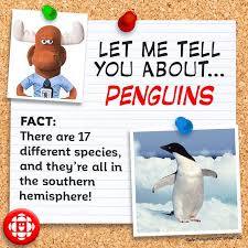 As i suggested earlier, though, you will quickly hit a wall where you can't do significantly better, no matter how well you finesse your penguin. 5 Fun Facts About Penguins Explore Awesome Activities Fun Facts Cbc Kids