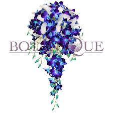Blue Orchid Cascade Cascading Wedding Bouquets Blue Wedding Bouquet Blue Orchid Bouquet