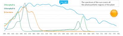 In general, the best lighting systems will cover the entire spectrum, creating a more complete source of energy, much like actual sunlight. Led Or Hps For Growing Cannabis P L Light Systems