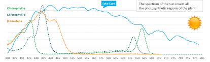 Check spelling or type a new query. Led Or Hps For Growing Cannabis P L Light Systems