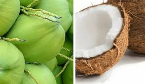 Kita bisa mencegahnya dengan mengonsumsi cairan mengandung elektrolit seperti air kelapa. Air Kelapa Tua Atau Muda Dua Dua Ada Kelebihan Untuk Kesihatan Saintis Ni Jelaskan Keluarga