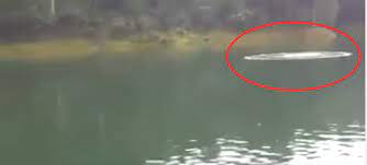 Tasik kenyir menyimpan pelbagai rahsia kehidupan di dasarnya sebelum ditenggelami air. Misteri Buih Besar Di Tasik Kenyir Di Sebalik Riak Air Yg Tenang Tiba Tiba Timbul Buih Buih Besar Terkumpul Inilah Pendedah Seorang Kaki Pancing Yg Membuat Anda Naik Seram Media Santai