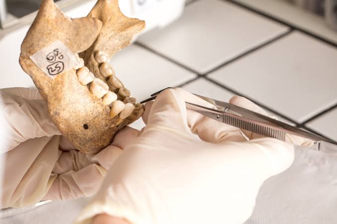 Lab extraction of ancient genetic material from fossil remains, AI generated