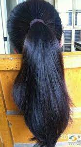 Pin By Rosana On Hair Long Hair Ponytail Hair Styles Long Shiny Hair