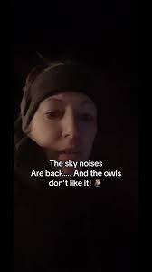 Unexplained Noises in the Sky and Owl Reactions
