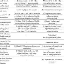 The production of drugs, cosmetics, and food which are derived from plant cell and tissue cultures has a long tradition. Pdf Plant Cell Cultures As Source Of Cosmetic Active Ingredients