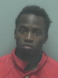 Lee County Arrests 1/11