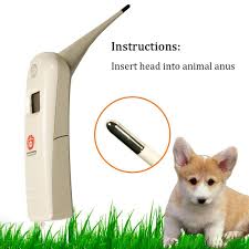 Popular with both veterinary practitioners and also breeders of puppies along with other species, the icu offers al. Digital Thermometer Cattle Veterinary Pet Professional Temperature Meter Animal Buy At A Low Prices On Joom E Commerce Platform