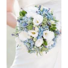 Check spelling or type a new query. Blue Hydrangea Wedding Bouquet Mebane Nc Florist Gallery Florist And Gifts Inc Mebane Fudge Factory Voted Best Florist In Mebane North Carolina Voted Best Gift Store Delivering Flowers In Mebane And The