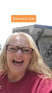 Donna Innes Bucket Cat