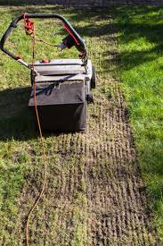 So it is important to know your lawnmower's size before purchasing the dethatching blades. When Should You Dethatch Your Lawn Dethatching Lawn Dethatching Lawn
