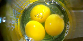 We did not find results for: Proteine D Uovo Una Grande Fonte Di Nutrienti