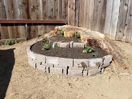 How i hide or camouflage a tree stump cheri wilson lermer on feb 18, 2018 i have a round area in my front yard where we had a large palm tree cut down. Clever Ideas Of Decorating Or Hiding A Tree Stump In Your Yard