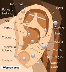 Pin On Piercing Ideas Earrings