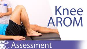 Maybe you would like to learn more about one of these? Knee Assessment Courses Free