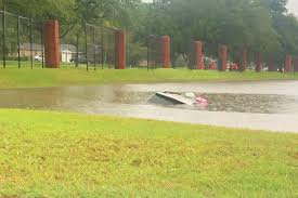 We usually have water restrictions by the time july roles around, so we are down to one day a week watering. How To Avoid Buying A Flooded Car Houston Public Media