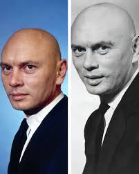 Stephen Fontes's Instagram, Twitter & Facebook