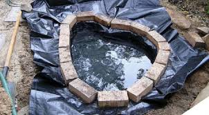 Cara membuat kolam agar tidak bocor, harus membuat adukan semen yang lebih banyak dari membuat kolam minimalis sederhana. Trik Mudah Bikin Kolam Ikan Dengan Lahan Terbatas Di Rumah Lifestyle Liputan6 Com