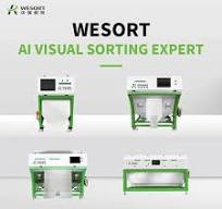 Coffee Bean Color Sorter – colour sorting machine ...
