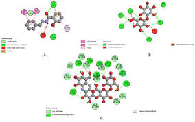 Image result for Zaleya