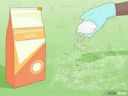 In this video i will tell you how to get rid of chiggers in your home, yard, and bed naturally. 3 Ways To Get Rid Of Chiggers Wikihow