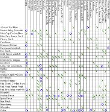 lady gouldian finch com finch species compatibility chart