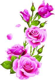 Ruze Category Svet Klip Artu Rose Flower Wallpaper Flower Phone Wallpaper Flower Drawing