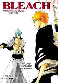 Ichigo Vs Grimmjow 3 | Bleach Anime, Bleach Art, Graphic Novel Art