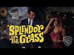 The result, splendor in the grass, remains as poetic, penetrating and powerful today as it was two generations ago. Splendor In The Grass Trailer Youtube
