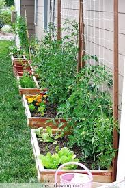 Top 20 Ideas For Vegetable Garden Designs For Backyard Landscaping Garden Layout Vegetable Small Vegetable Gardens Backyard Vegetable Gardens