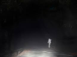 Entre 1880 et 1900, une apparition épouvanta les voyageurs nocturnes de la région. Dossier Dame Blanche Paranormal Activity