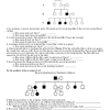Pedigree genetics worksheet the best worksheets image collection. 1