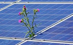 How to draw a solar panel. Top 10 Solar Panel Arts Solar Doesn T Need To Be Boring Sf Magazine