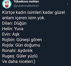 Kurtce Kiz Erkek Bebek Isimleri Uludag Sozluk