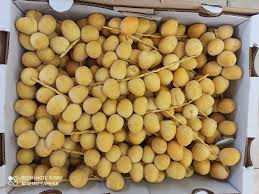 JORDAN FRESH DATES 5KG BOX NOW... - Fruit & Veg Garden | Facebook