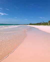 This Pink Sand Beach In The Bahamas Will Top Your Travel Bucket List Travel Magazine Harbor Island Pink Sand Beach Pink Sand Beach Bahamas Bahamas Honeymoon
