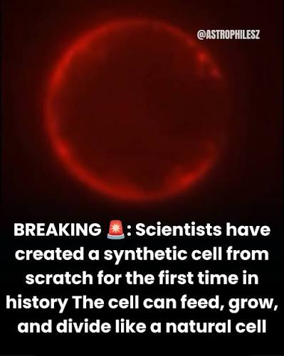 For the first time in the history of science, a cell built entirely from nonliving chemical components has grown, replicated its DNA, divided into daughter cells, and competed against its siblings across
